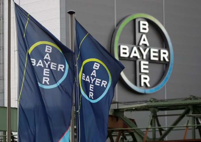 Bayer stops blood thinner drug trial for lack of effect in major setback,  World News - AsiaOne
